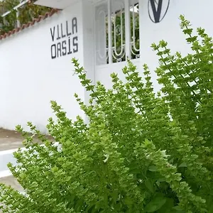  Frühstückspension Oasis Albanien